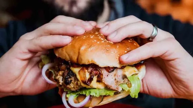 Rare Tick Borne Meat: అత్యంత అరుదైన సంఘటన.. బర్గర్ తిని వ్యక్తి మృతి..