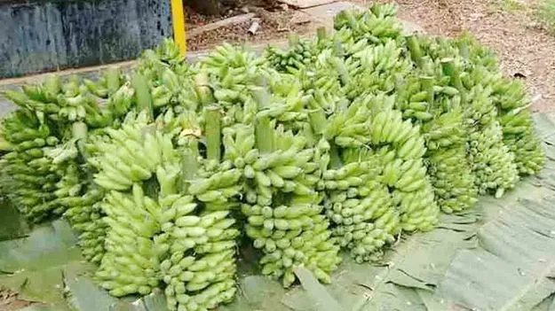 Banana Prices: అరటికు డిమాండ్‌.. పెరిగిన ధరలు