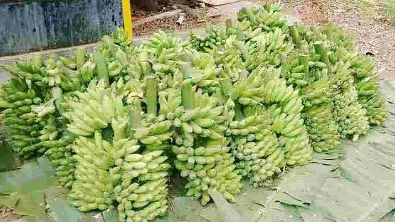 Banana Prices: అరటికు డిమాండ్‌.. పెరిగిన ధరలు