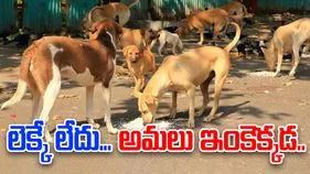 Bapatla News: లెక్కే లేదు... అమలు ఇంకెక్కడ...