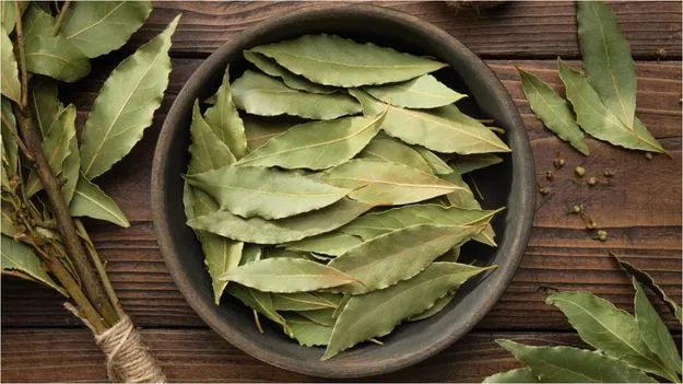 Bay Leaves Vastu Tips: బే ఆకులు ఇంటికి శుభ ఫలితాలను ఇస్తాయా? 
