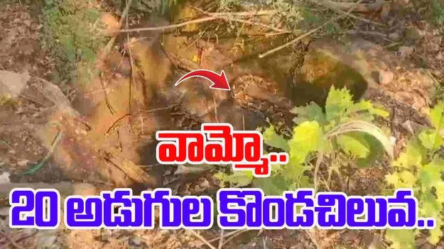 Bheemavaram python video: భీమవరంలో భారీ కొండచిలువ హల్‌చల్..