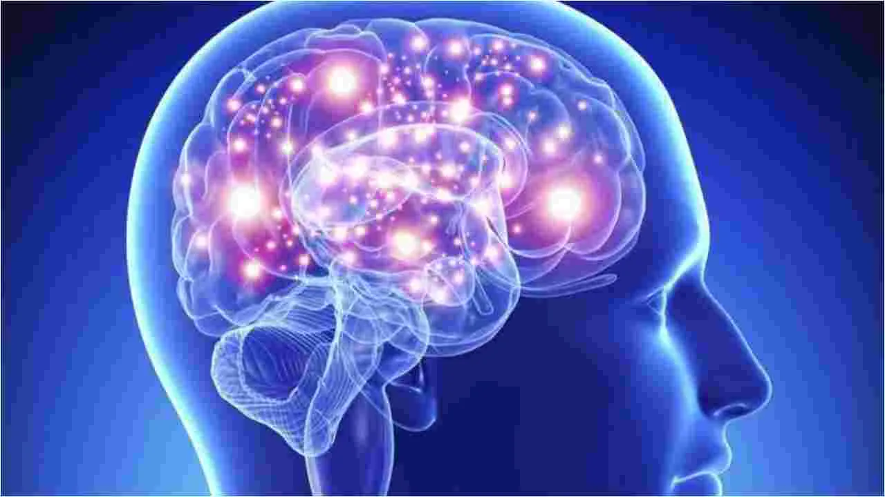 Brain Boosting Habits: ఈ 5 అలవాట్లు మెదడుకు ఔషధంలా పనిచేస్తాయి..
