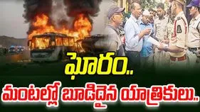Bus Truck Collision: సౌదీలో ఘోర రోడ్డు ప్రమాదం.. 45 మంది సజీవదహనం
