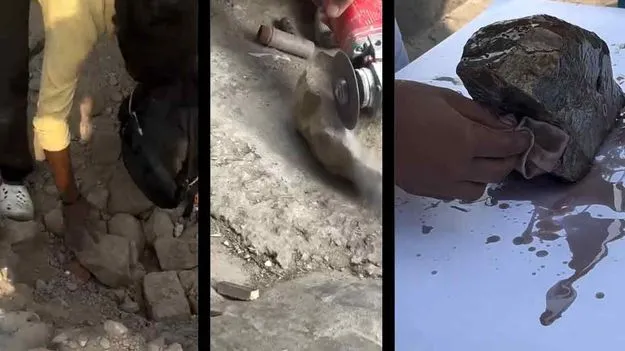 Business Idea: రాళ్లకు రంగులు రాస్తే రూపాయల వర్షం..  ఇదీ నయా ట్రెండ్!  