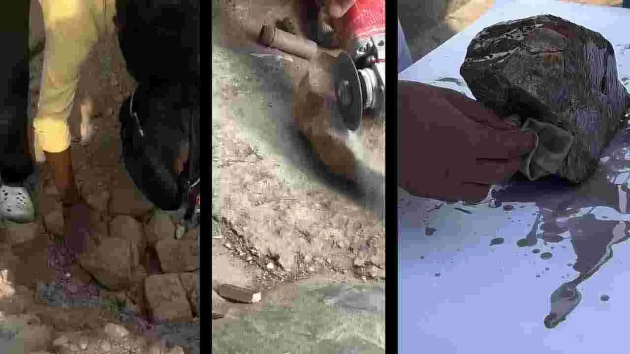 Business Idea: రాళ్లకు రంగులు రాస్తే రూపాయల వర్షం..  ఇదీ నయా ట్రెండ్!  