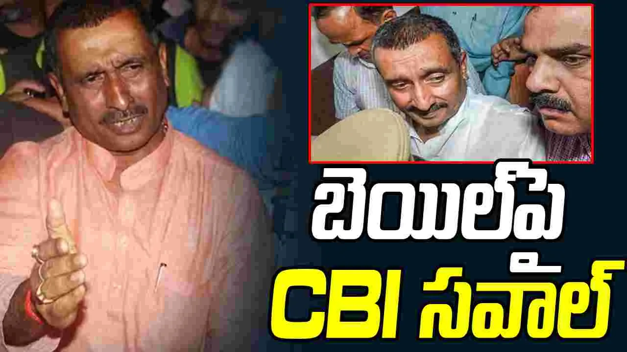 Kuldeep Sengar: ఉన్నావ్ కేసులో కుల్దీప్ సెంగర్‌కు బెయిల్‌.. సీబీఐ సీరియస్