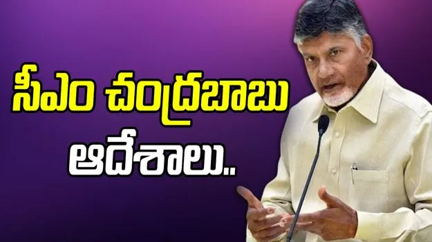CM Chandrababu Naidu: ద్రాక్షారామ ఘటనపై మంత్రితో మాట్లాడిన సీఎం