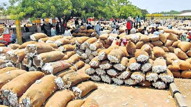 CCI Centers Illegal Charges:  సీసీఐ కేంద్రాల్లో నిలువు దోపిడీ..