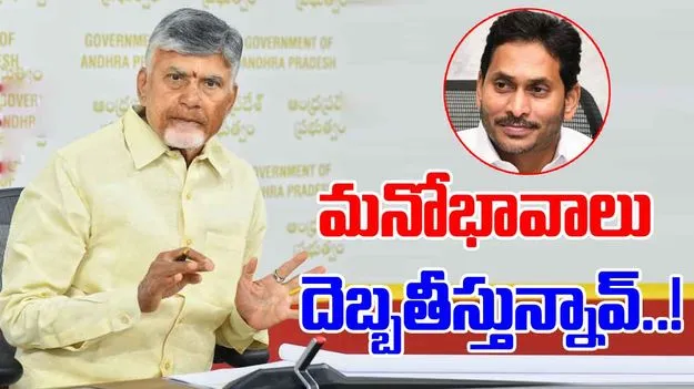 CM Chandrababu: శ్రీవారి భక్తుల మనోభావాలు దెబ్బతినేలా జగన్ వ్యాఖ్యలు..  సీఎం చంద్రబాబు ఫైర్