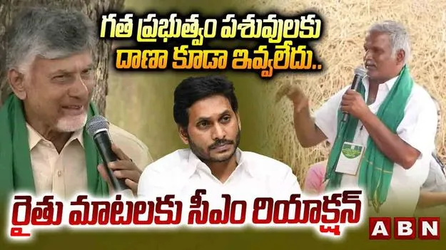 CM Chandrababu: జగన్ హయాంలో భూ రికార్డులు తారుమారు .. సీఎం చంద్రబాబు ఫైర్ 