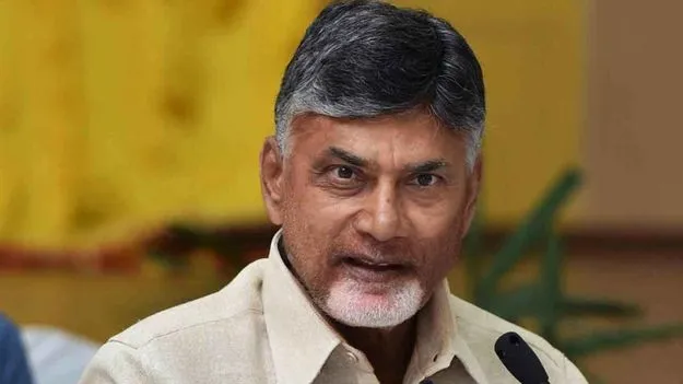 CM  Chandrababu: రప్పా రప్పా అంటే వదలి పెట్టను.. జగన్ అండ్ కోకు సీఎం స్ట్రాంగ్ వార్నింగ్