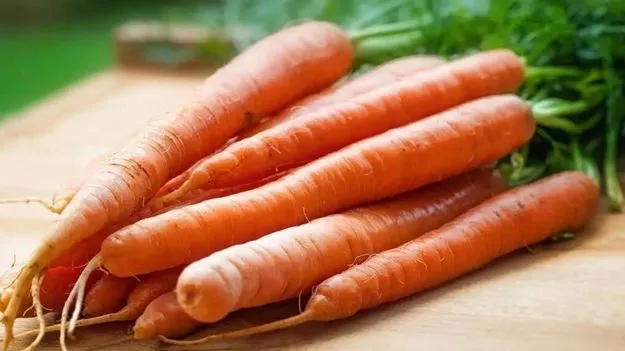 Carrot Health Warnings: జాగ్రత్త.. ఈ సమస్యలు ఉన్నవారు పొరపాటున కూడా క్యారెట్ తినకూడదు..!