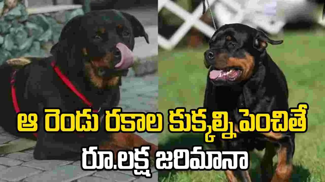 GCC: ఆ రెండు రకాల కుక్కల్ని పెంచితే రూ.లక్ష జరిమానా