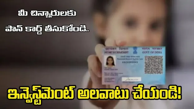 Children PAN Card: మీ చిన్నారులకు పాన్ కార్డ్ తీసుకోండి.. ఇన్వెస్ట్‌‌మెంట్‌పై అవగాహన కల్పించండి!