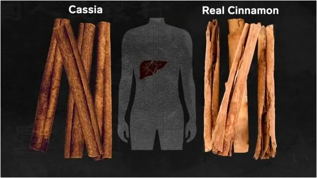 Chinese Cinnamon Health Risk: రుచి కోసం రిస్క్ వద్దు! చైనా దాల్చిన చెక్కలో దాగున్న ప్రమాదం.!