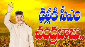 CM Chandrababu Delhi Visit: ఢిల్లీకి సీఎం.. కేంద్ర మంత్రులతో వరుస సమావేశాలు