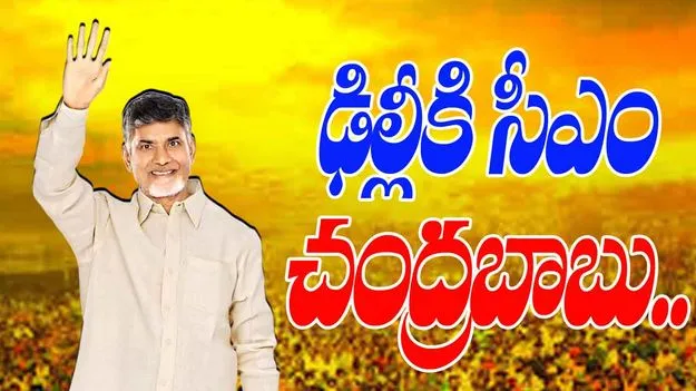 CM Chandrababu Delhi Visit: ఢిల్లీకి సీఎం.. కేంద్ర మంత్రులతో వరుస సమావేశాలు
