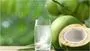 Coconut Water Benefits: కిడ్నీ  పేషెంట్స్, డయాబెటిస్ ఉన్నవాళ్లు కొబ్బరి నీళ్లు తాగవచ్చా?