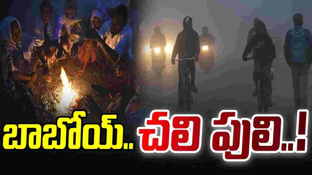 Coldwave intensifies across TG: రాష్ట్రంలో పెరిగిన చలి.. కనిష్ఠ స్థాయికి ఉష్ణోగ్రతలు..
