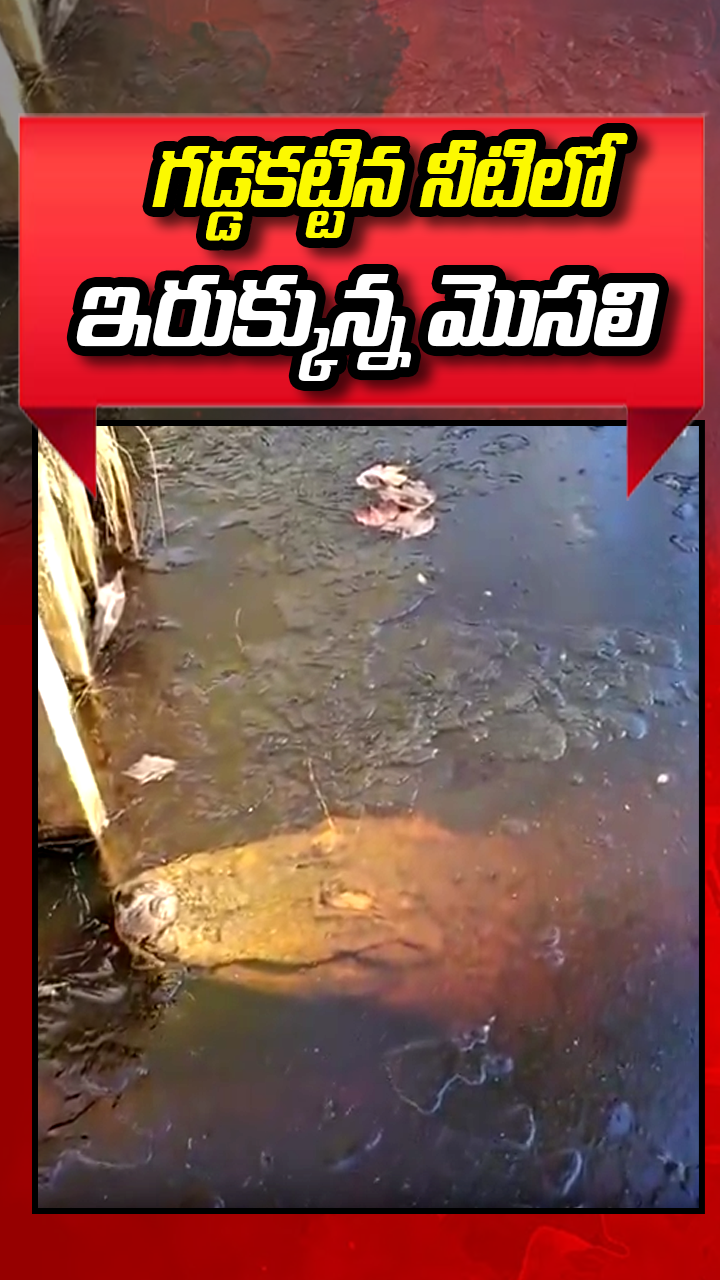 ABN Andhrajyothy Telugu Short News Video - Quick News Updates in 60 Seconds