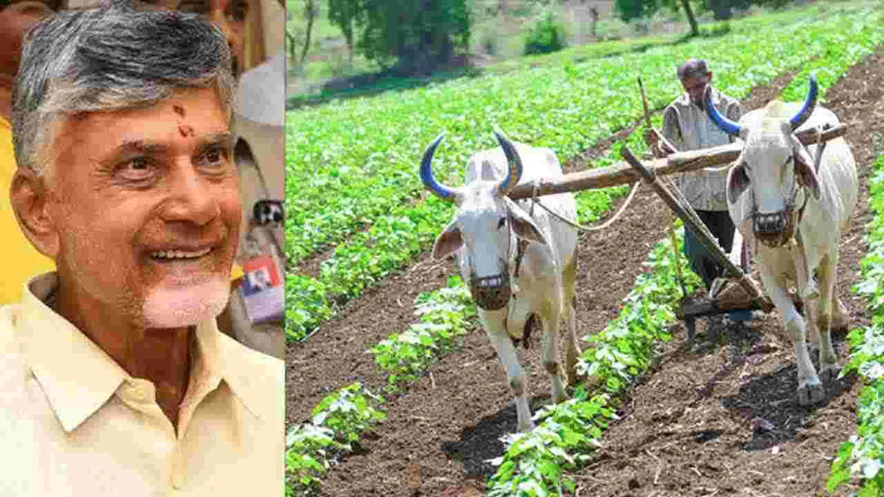 Crop Loan: ఏపీలో రైతులకు గుడ్‌న్యూస్.. రూ.లక్ష వరకు రుణాలు