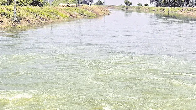 సాగర్‌ కాలువలకు పెరిగిన నీటి ప్రవాహం