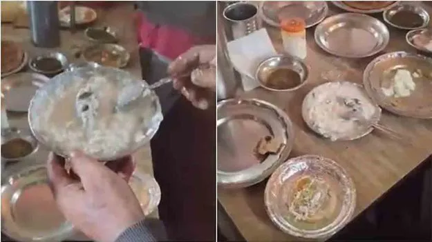 Viral Video: వడ్డించిన ఆహారంలో చనిపోయిన ఎలుక.. వైరల్ వీడియో