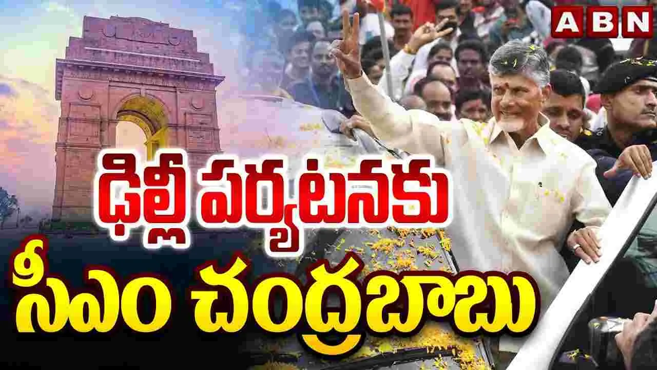 CM Chandrababu: సీఎం చంద్రబాబు ఢిల్లీ పర్యటన ఖరారు.. షెడ్యూల్ ఇదే..