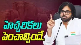 Deputy CM Pawan Kalyan: ఏనుగుల సంచారం.. అధికారులకు డిప్యూటీ సీఎం కీలక ఆదేశాలు