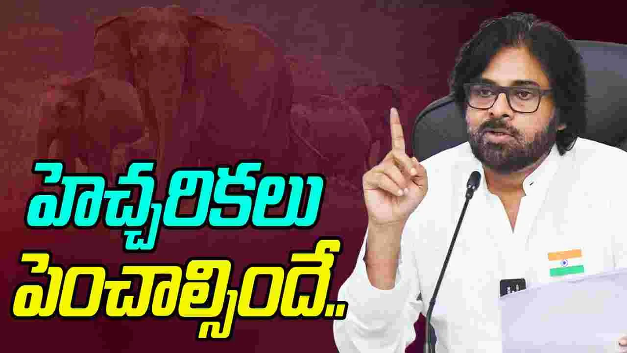 Deputy CM Pawan Kalyan: ఏనుగుల సంచారం.. అధికారులకు డిప్యూటీ సీఎం కీలక ఆదేశాలు