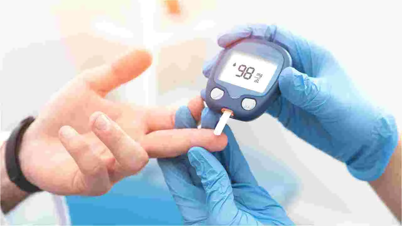 World Diabetes Day 2025: షుగర్ కంట్రోల్ కావాలా..ఈ ఆయుర్వేద  చిట్కాలు పాటించండి.!