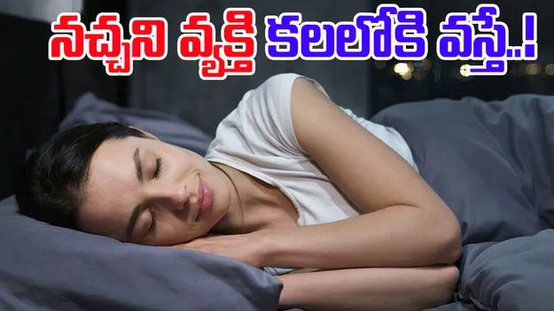 Dreams About Enemies : నచ్చని వ్యక్తి మీకు కలలో కనిపించాడా? దీని అర్థం ఏంటంటే..