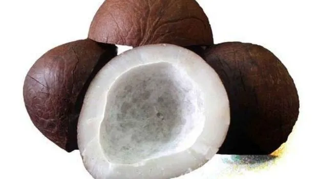 Dry Coconut Side Effects: జాగ్రత్త.. ఈ 4 సమస్యలు ఉన్నవారు ఎండు కొబ్బరి అస్సలు తినకూడదు.!