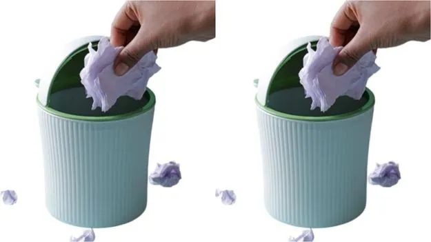Trash Bin Placement At Home: ఇంట్లో చెత్త డబ్బాను ఈ దిశలో అస్సలు ఉంచకండి.. ఎందుకంటే?