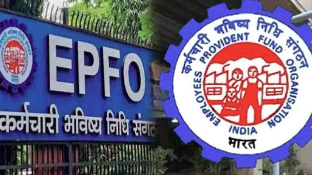 EPFO: ఉద్యోగం మానేసిన తర్వాత మీ PF బ్యాలెన్స్‌పై వడ్డీ ఏమవుతుంది?