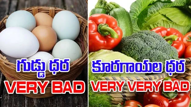 Eggs: గుడ్డు ధర వెరీ బ్యాడ్‌...
