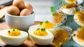 FSSAI Statement On Eggs: వెరీ'గుడ్డు'.. అపోహలకు నో ఛాన్స్: ఎఫ్ఎస్ఎస్ఏఐ