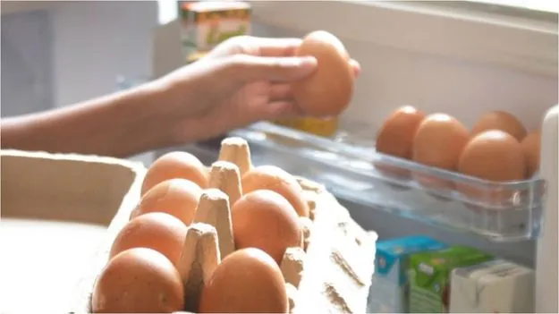 Egg Storage Tips:   గుడ్డు చెడిపోయిందో లేదో ఎలా తెలుసుకోవాలి?