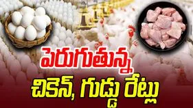 Chicken and Eggs Price Hike: కార్తీక మాసం పూర్తయ్యింది.. చికెన్, గుడ్డు రేట్లు అమాంతం పెరిగాయి