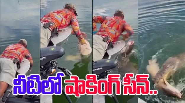 Crocodile catches fish: చేపలు పడుతుండగా షాకింగ్ సీన్.. నోటి లోపలి నుంచి మొసలి వచ్చి.. 