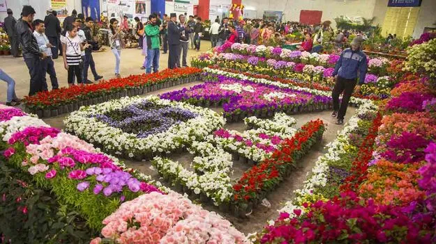 Flower Expo in AP:  ఏపీలో  ఫ్లవర్ ఎక్స్‌పో.. ఆకట్టుకుంటున్న  ప్రత్యేక మొక్కల ప్రదర్శన