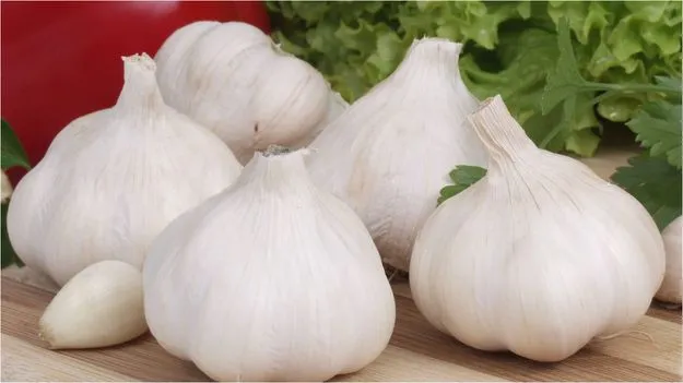 Home Tricks For Insects: దోమలు, కీటకాలు ఇబ్బంది పెడుతున్నాయా? ఈ ఒక్క చిట్కా ట్రై చేయండి.. 