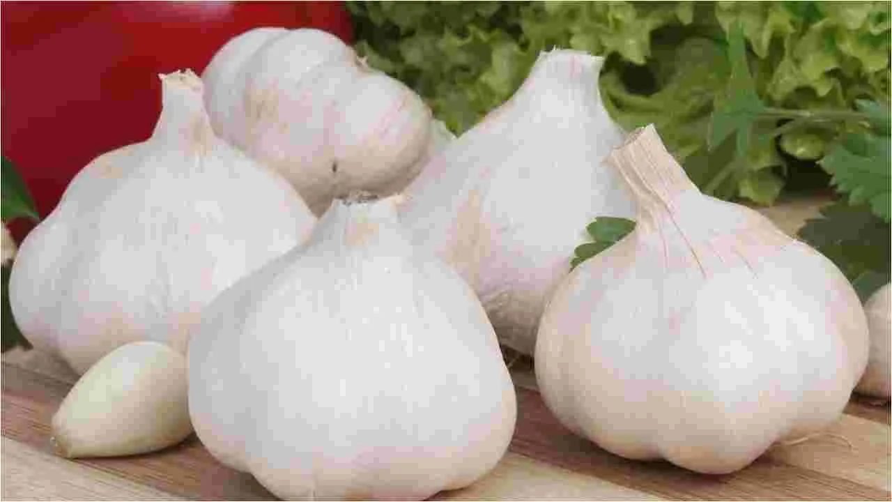 Home Tricks For Insects: దోమలు, కీటకాలు ఇబ్బంది పెడుతున్నాయా? ఈ ఒక్క చిట్కా ట్రై చేయండి.. 