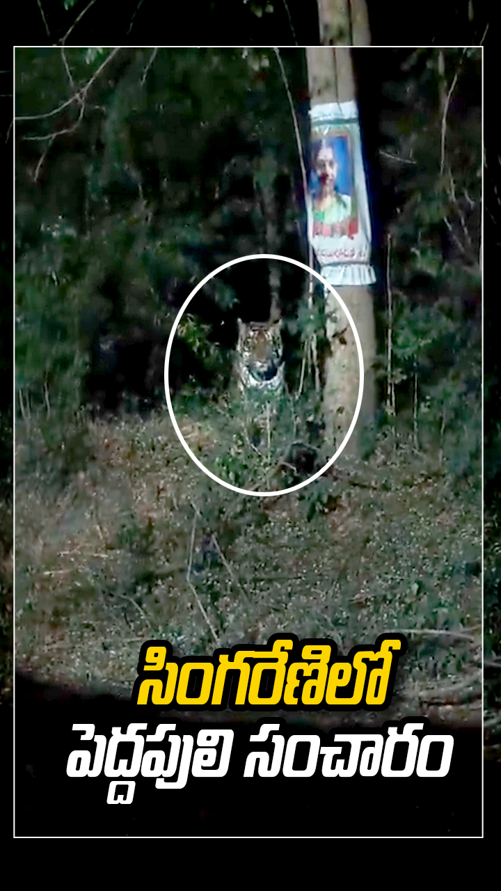 ABN Andhrajyothy Telugu Short News Video - Quick News Updates in 60 Seconds