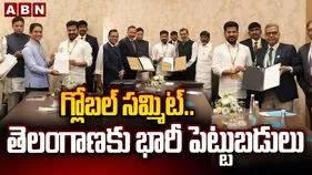 Telangana Rising Global Summit: గ్లోబల్ సమ్మిట్.. పలు కంపెనీల ప్రతినిధులతో సీఎం రేవంత్ వరుస సమావేశాలు