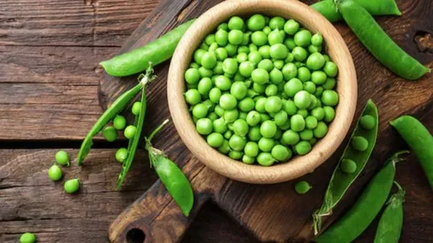 Green Peas in Winter: శీతాకాలంలో పచ్చి బఠానీలు తినొచ్చా?