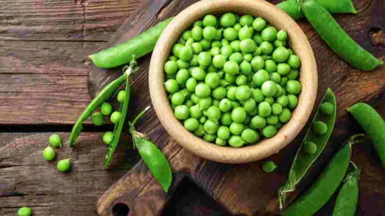 Green Peas in Winter: శీతాకాలంలో పచ్చి బఠానీలు తినొచ్చా?