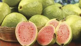 Guava for Weight Loss: బరువు తగ్గడానికి ఖాళీ కడుపుతో ఈ పండు తింటే అద్భుతమైన ఫలితాలు.. !