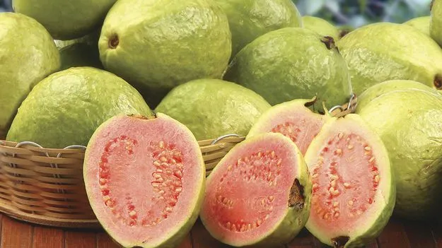 Guava for Weight Loss: బరువు తగ్గడానికి ఖాళీ కడుపుతో ఈ పండు తింటే అద్భుతమైన ఫలితాలు.. !